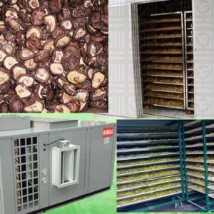 fruit dryer , vegetable dryer , food dryer