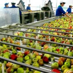 fruit juice processing machinery manufacturer