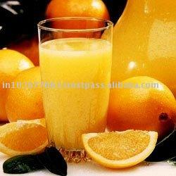 Fruit Juice Processing Plant