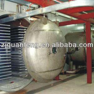 fruit vacuum freeze drying machine