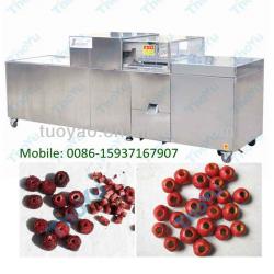 Fully Stainless Steel Dates/Jujube/Olives Pitter Price 0086-15937167907