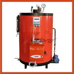 gas fired high pressure steam boiler