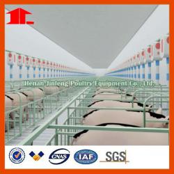 Gestation pig crate equipment