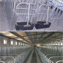 Gestation Stall for pig