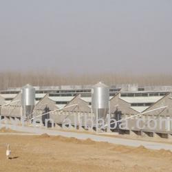 Grain storage system on farm, storage silos and bins ,270 T beet seeds silo