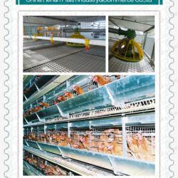 H type automatic broiler chicken cage with good quality