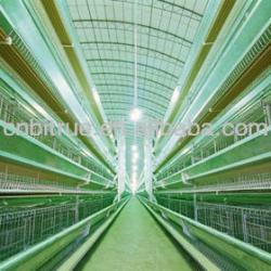 H type broiler battery cage