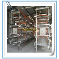 H type broiler breeder chicken cage