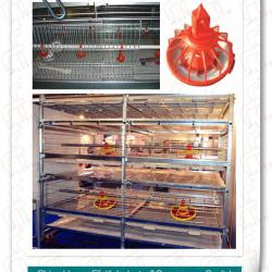 H type chicken cage design 008613938486709