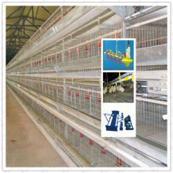 H type chicken cages with 4 layer