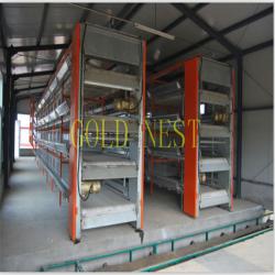 H type Layer poultry farm equipment