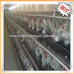 henan huaxing brand chicken farm cage