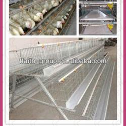 high quality chicken layer cage