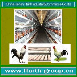 high quality chicken poultry farm equipment 008613938486709