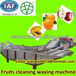 High quality fully automatic apple papaya cleaning and waxing machine