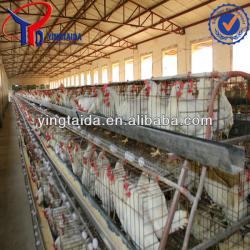 High quality poultry farm equipment for sale