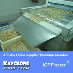 High Quality SSD IQF flash freezer