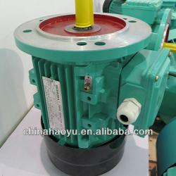 high torque low rpm electric motor