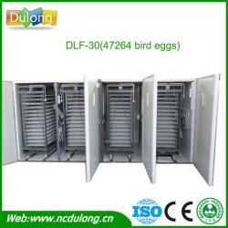 holding 45000 eggs automatic parrot incubator for sale