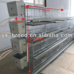 Hot Galvanized Automatic Chicken Cage for growing broilers and pullets