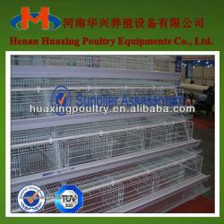 hot sale and supper quality batteries for laying hens