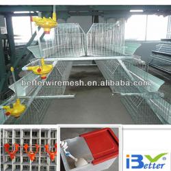 Hot-Sale BT factory A-120 chicken poultry layer cage(Welcome to Visit my factory)