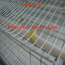 Hot-Sale BT factory A-128 chicken egg layer cages(Welcome to Visit my factory)