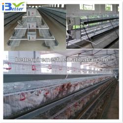 Hot-Sale BT factory A-128 chicken poultry cage for nigeria(Welcome to Visit my factory)