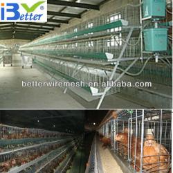 Hot-Sale BT factory A-96 type chicken house(Welcome to Visit my factory)