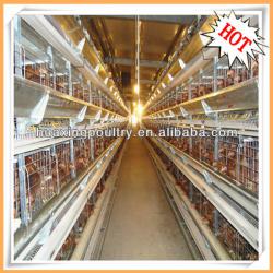 hot sale H type used poultry battery cages for sale