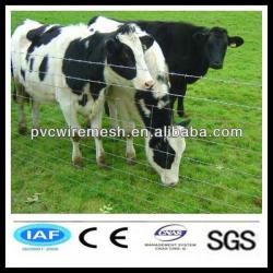 Hot Sale! High Quality Barbed Wire Cattle Fencing(ISO9001:2008 Factory)