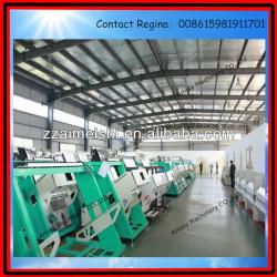 Hot Sale Rice/Grain Color Sorter Machine (0086 15981911701)