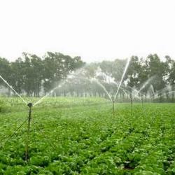 Hot-selling agriculture water sprinkler for irrigation 8.8CP-55