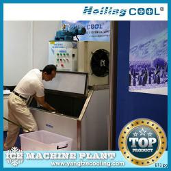 Hotel seafood Marine flake ice machine 1000kg/day