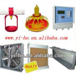 hottest sale broiler and breeder use chicken poultry shed design