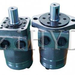 Hydraulic Motor (Charlynn type)