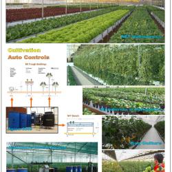 Hydroponic cultivation