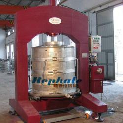 ice grape and dates hydraulic press juice machine