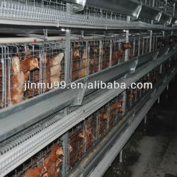 Industry-specific:supply egg chicken layer cages(automatic)quality guarantee