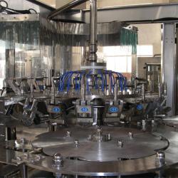 Inner frames' details of 3-in-1 washing/filling/capping monoblock machine