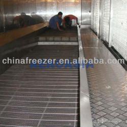 IQF Tunnel Freezer