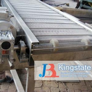 Kingstate Mesh Belt Dryer