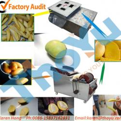 labor saving machine for slicing fruits, mango cutter machine