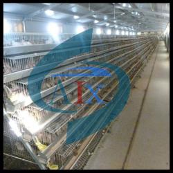 ladder type quail cage 30 sets quail cage can feed 12000pieces quails