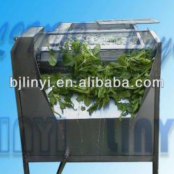 LINYI series Profesional Manufacturer Reliable Quality Fruits and Leafy Vegetables Washing Machine 0086(0)13521786207