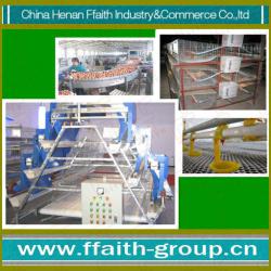 low cost and high quality chicken poultry farm equipment 008613938486709