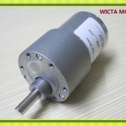 Low RPM High Torque Small Electric 24v 12v DC Motor