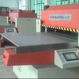 LS-125 Automatic plastic punching machine