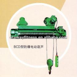 manual electric hoist for Crane use