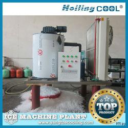 Marine water flake ice machine 1000kg/day for beverage